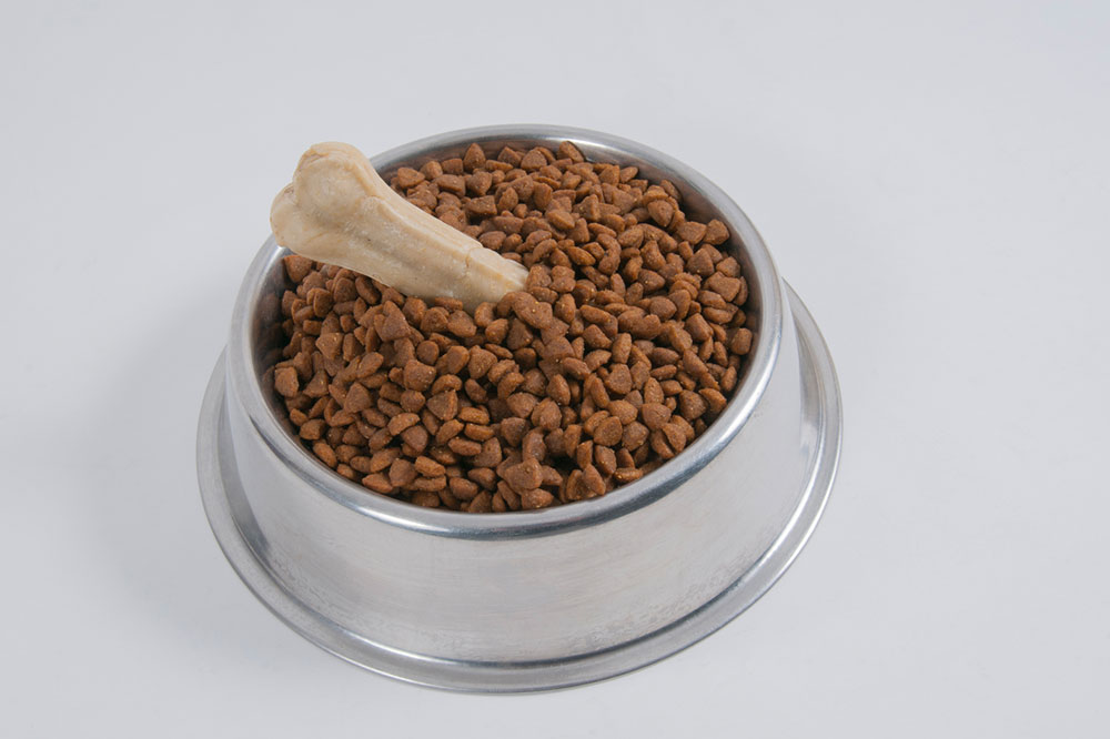 Healthy Dog Food Tips